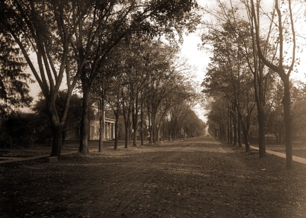 Elizabeth Street, Dansville, N.Y, Residential streets, United States, New York (State), Dansville,