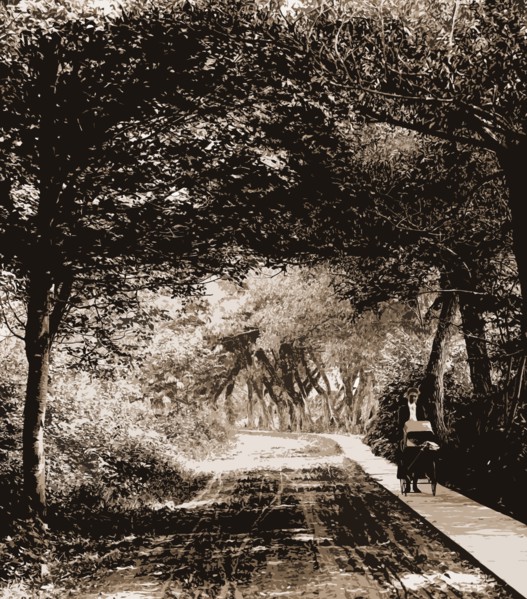 Under the willows, Rye Beach, N.H, Willows, Roads, Walkways, United States, New Hampshire, Rye