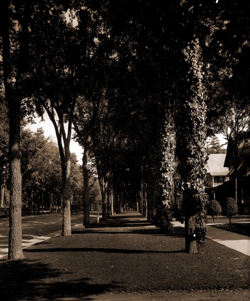 North Broadway, Saratoga, N.Y, Streets, United States, New York (State), Saratoga Springs, 1904