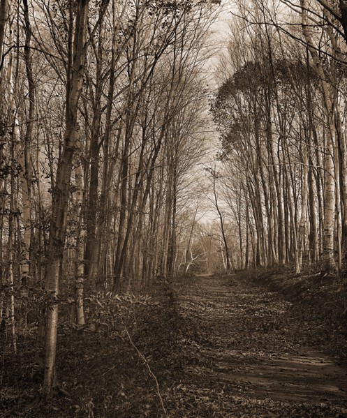 A Roadway in autumn, Berkshire Hills, Mass, Roads, Autumn, United States, Massachusetts, Berkshire