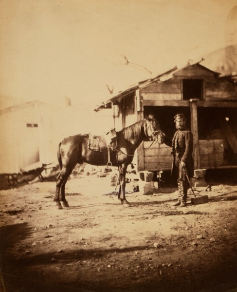 Lieutenant-Colonel Chapman, C.B., Royal Engineers, Crimean War, 1853-1856, Roger Fenton historic