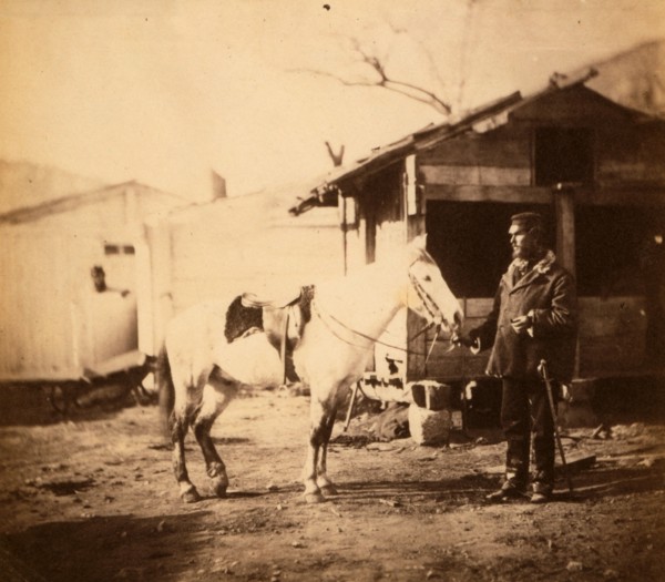 Major Chapman, 20th Regiment, Crimean War, 1853-1856, Roger Fenton historic war campaign photo