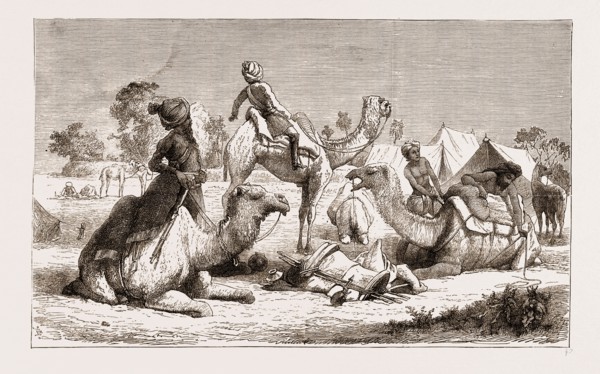 INDIA, CAMEL RIDERS OF A NATIVE CAVALRY REGIMENT PREPARING FOR A MARCH, 1876