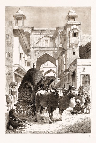 THE PRINCE OF WALES IN INDIA: A RAJPOOT BULLOCK CARRIAGE, 1876