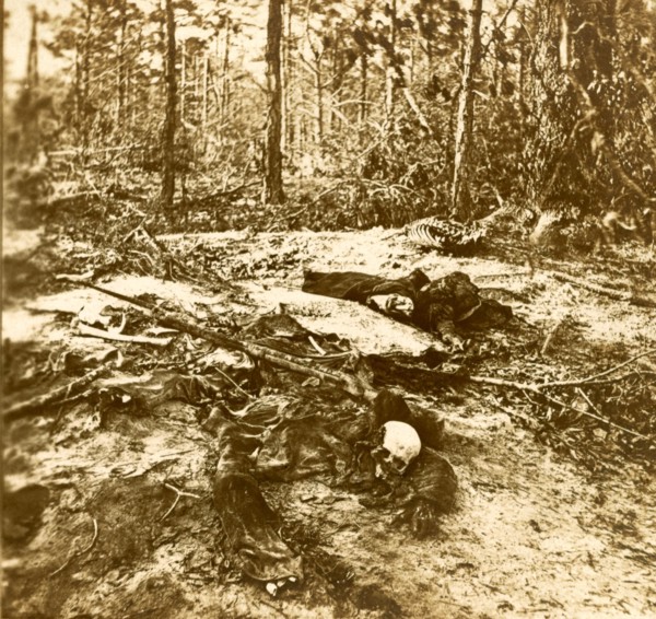 These died, that our Nation might live. We were driven from this field (Wilderness) before we could
