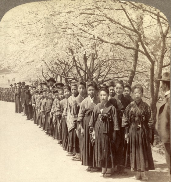 Holiday outing of a Japanese school, under the beautiful cherry blossoms, Tokyo, Japan, Vintage