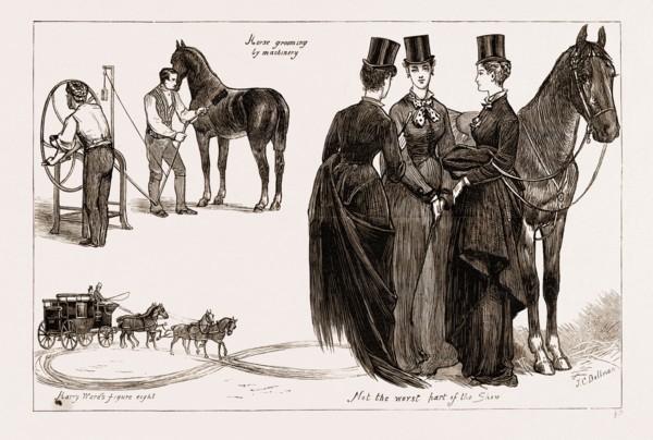 THE HORSE SHOW AT THE AGRICULTURAL HALL, ISLINGTON, LONDON, UK, 1876