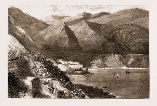 SERIOUS ACCIDENT AT NICE, FRANCE, 1883: THE POINT IN THE ROAD WHERE THE CARRIAGE AND HORSES ROLLED