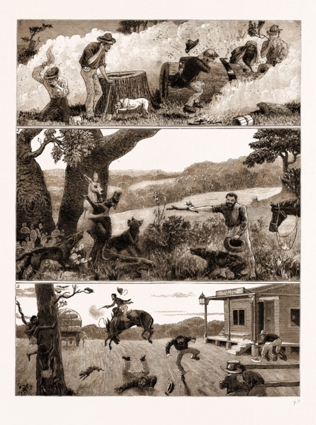 INCIDENTS IN A SETTLER'S LIFE IN AUSTRALIA, 1883: 1. Robbing a Bee's Nest. 2. A Kangaroo at Bay. 3.