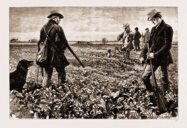 THIRLBY HALL, DRAWN BY WILLIAM SMALL, 1883; We had a very good afternoon among the turnips and the