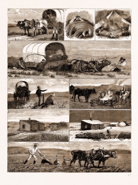 SCENES FROM AN EMIGRANT'S LIFE IN MANITOBA, CANADA, 1883: 1. Emigrants on the Way to their