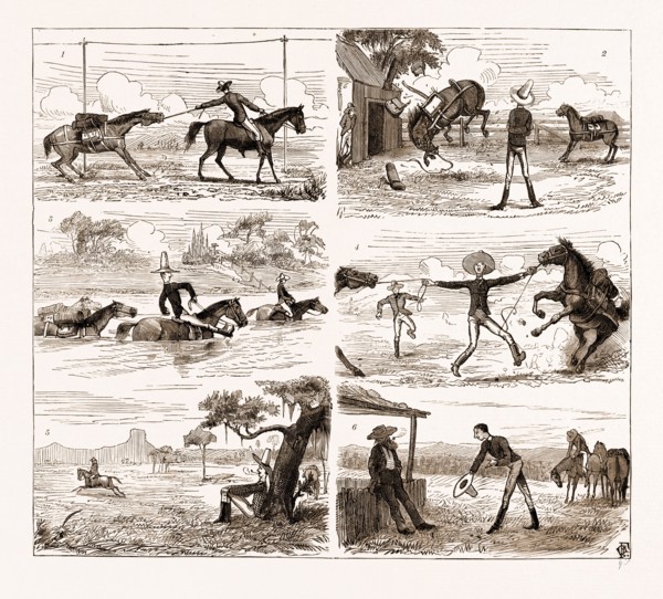 AN OVERLAND JOURNEY FROM QUEENSLAND TO SYDNEY WITH A NEW CHUM, AUSTRALIA, 1883: 1. The New Chum's