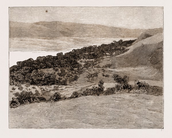 The River Congo at Manyanga, Africa, 1883