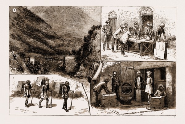 TEA CULTURE IN INDIA, 1883: 1. Bridge Over the River Ool, on the Road to Kulu. 2. Rolling the