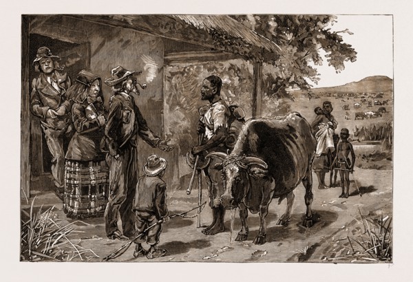 THE BOERS AND THEIR TREATMENT OF THE BLACKS: TWO YEARS' WAGES IN THE TRANSVAAL, SOUTH AFRICA, 1883