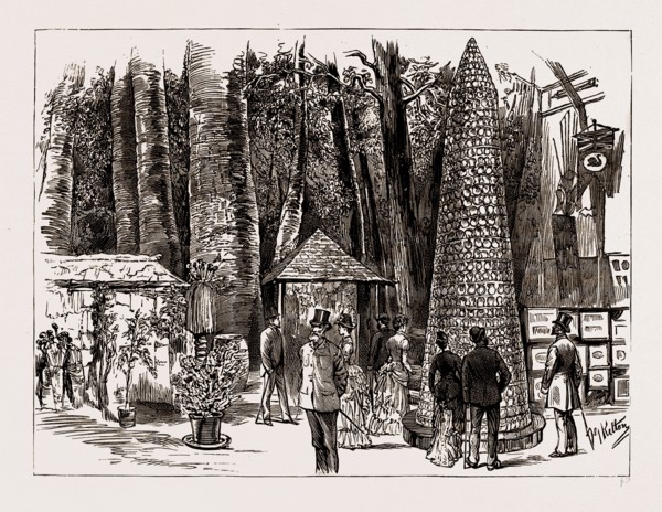 AUSTRALIAN EXHIBITS AT THE COLONIAL AND INDIA EXHIBITION, 1886: TROPHY OF MOTHER OF PEARL SHELLS,