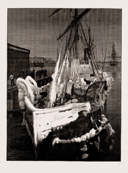 SEVERE WEATHER IN THE ATLANTIC: THE S.S. "PEDRO," AS SHE ARRIVED AT BOSTON, 1886