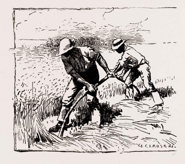 ILLUSTRATIONS FROM THE CATALOGUE OF THE ROYAL INSTITUTE OF PAINTERS IN WATER COLOURS, 1886: MOWERS,