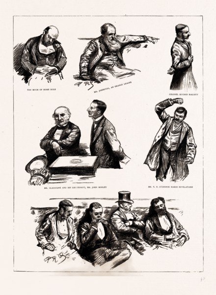 THE HOME RULE DEBATE IN THE HOUSE OF COMMONS, LONDON, UK, 1886: TOO MUCH OF HOME RULE; MR.