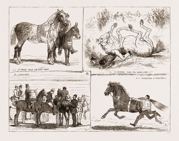 TIIE HORSE SHOW AT THE ALEXANDRA PARK LONDON UK 1873