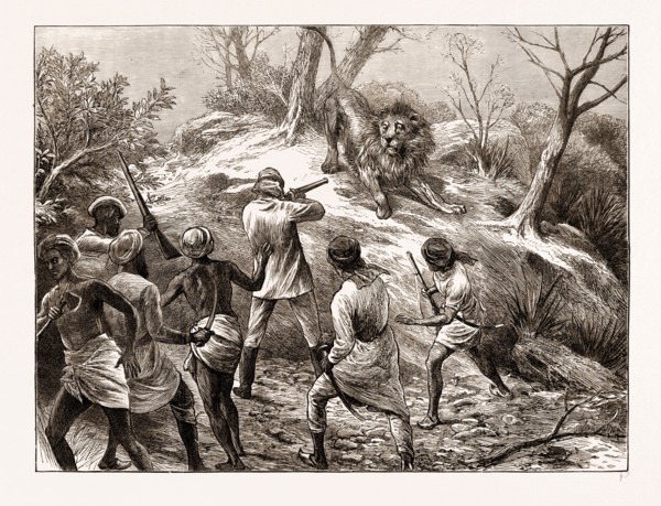 LION SHOOTING IN THE GHEER, KATTIA WAR, WESTERN INDIA, ENGRAVING 1873