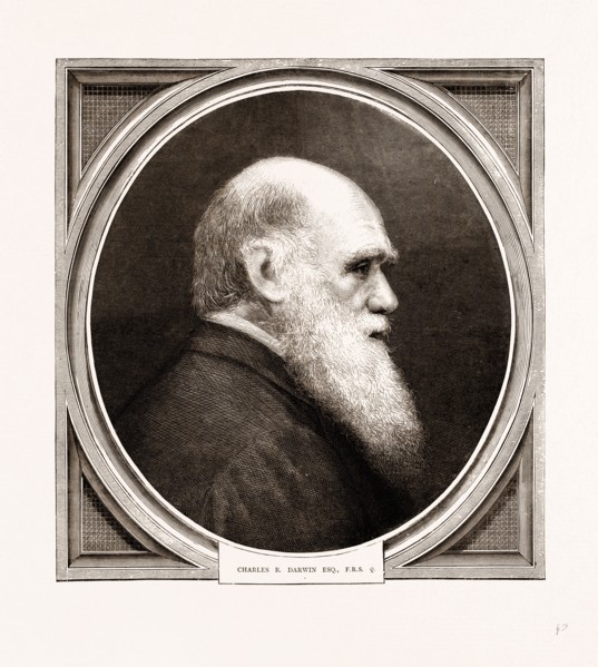CHARLES R. DARWIN, ESQ. F.R.S.