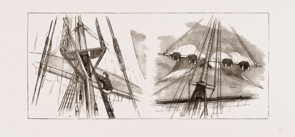 REORGANISING THE CHINESE NAVY, ON BOARD THE TRAINING SHIP "KEIN-WEI", 1875: 3. The Bugler. 4. The