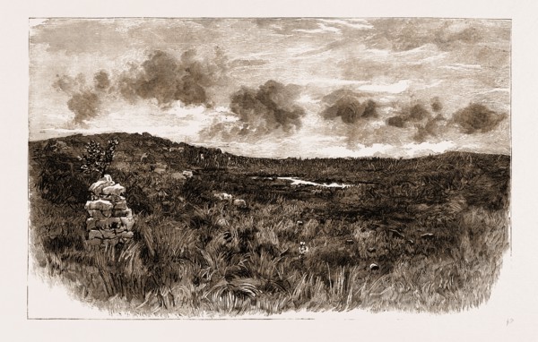 THE RISING IN THE TRANSVAAL, SOUTH AFRICA: AFTER THE BATTLE: SUMMIT OF MAJUBA MOUNTAIN, SHOWING