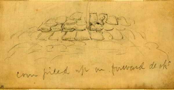 Corn piled up on forward deck, 1860-1865, drawing, 1862-1865, by Alfred R Waud, 1828-1891, an