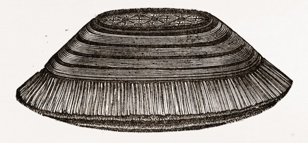 FURNITURE BRUSH, 19th CENTURY
