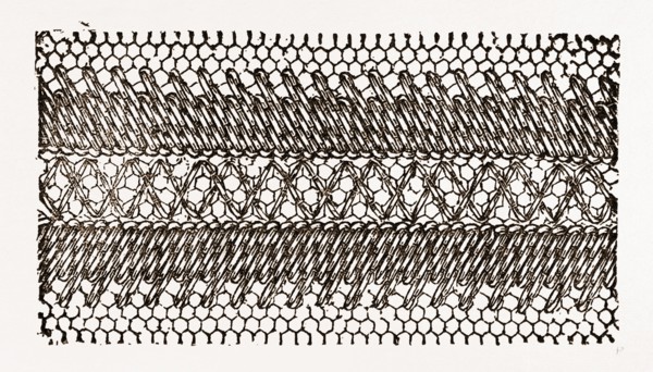 DESIGN FOR DARNING ON NET, NEEDLEWORK, 19th CENTURY EMBROIDERY
