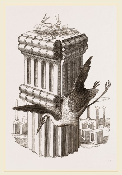 Stork's Nest at Persepolis, Iran