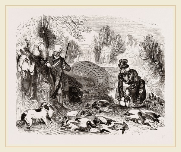 Wild Duck Decoy Lincolnshire UK