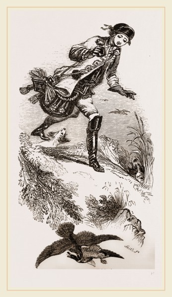 Hawking for Wild-Ducks