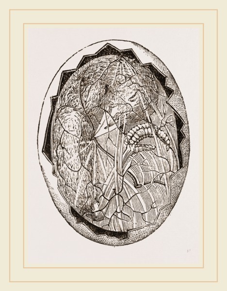 Egg on Eighteenth Day