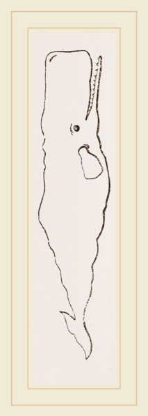Spermaceti Whale
