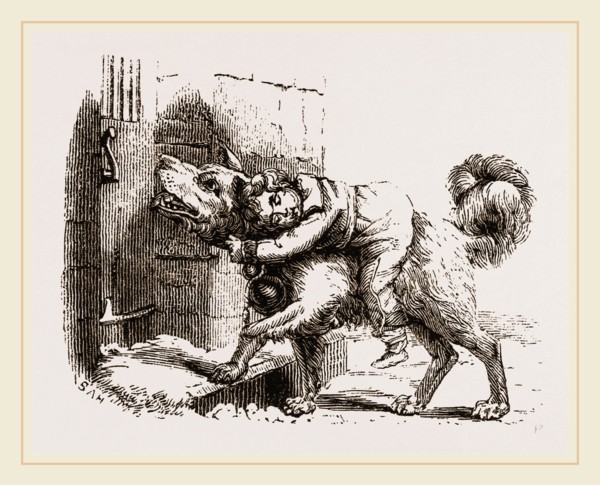 Dog of Mount St. Bernard