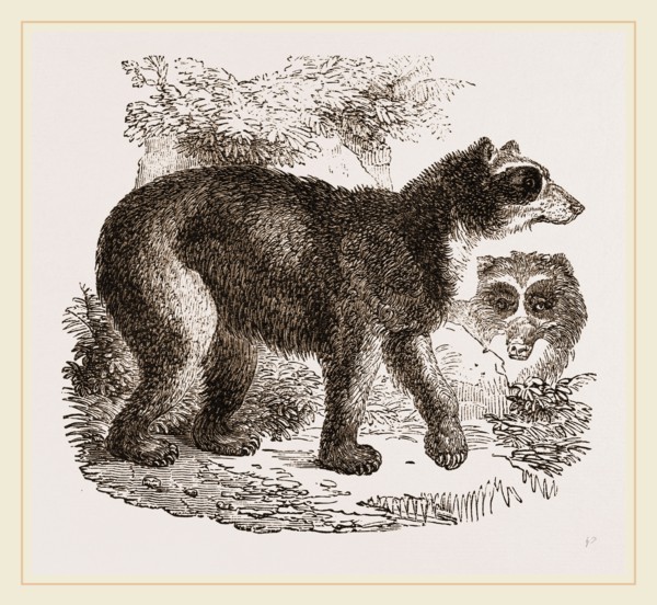 Spectaced Fear