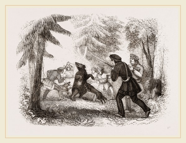 Bear hunting by the Chippewayan Indians