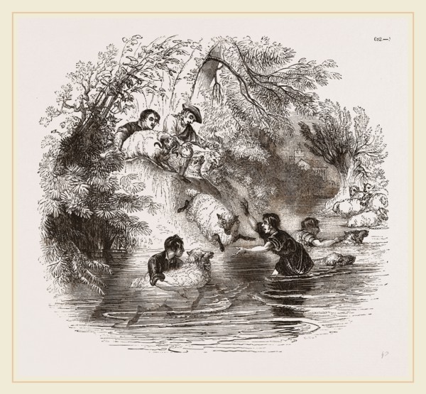 Sheep-washing