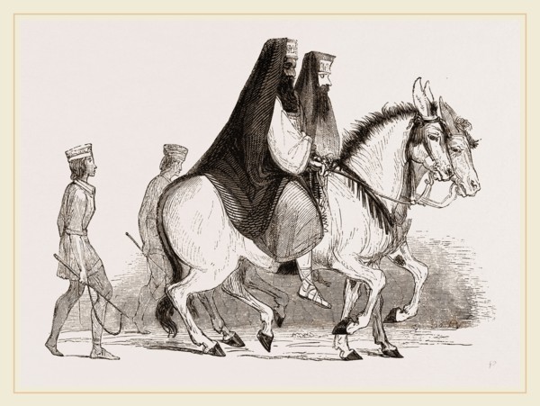 Asses