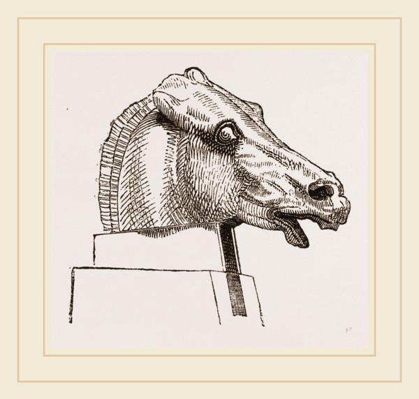 Horse's Head