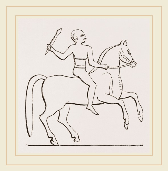 Egyptian Horseman