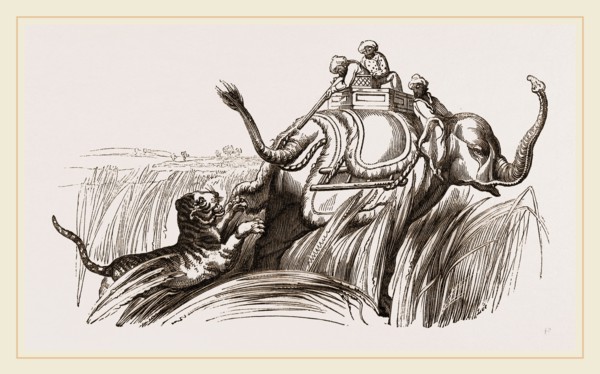 On an Elephant, Tiger at bay