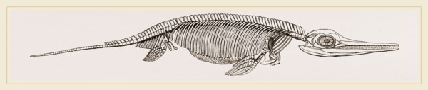 Ichthyosaurus