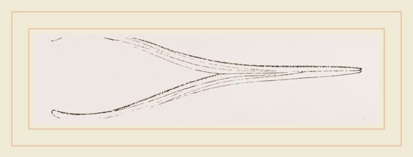 Lower Jaw of Ichthyosaurus