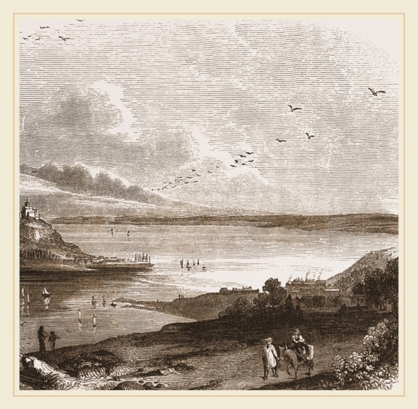 Pilchard fishing in Mount's Bay Cornwall, UK