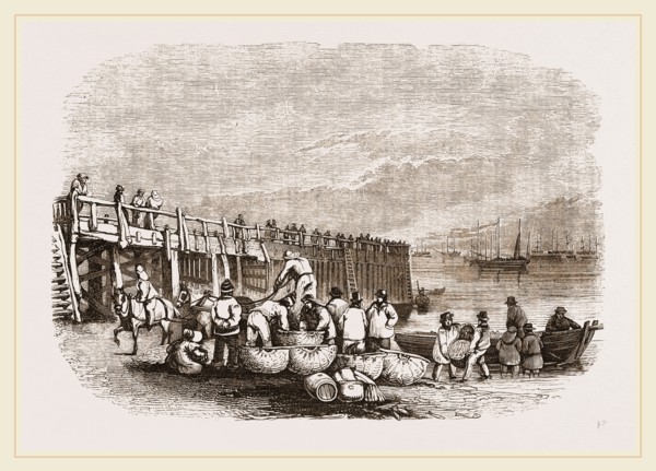 Herring-boats at Yarmouth Jetty, UK
