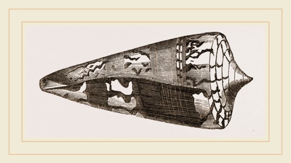Ordinary Cone