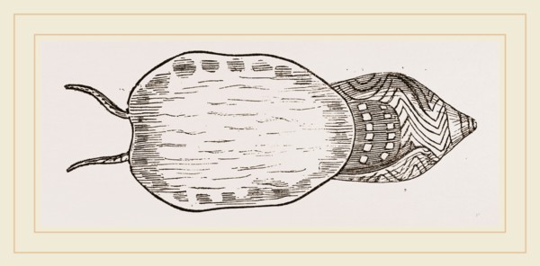 Undulated Volute expanded Foot